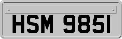 HSM9851