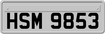 HSM9853
