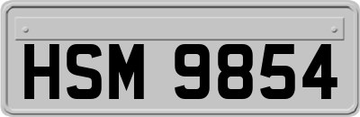 HSM9854