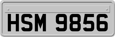 HSM9856