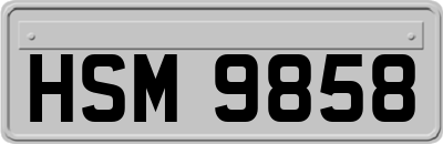 HSM9858