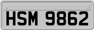 HSM9862