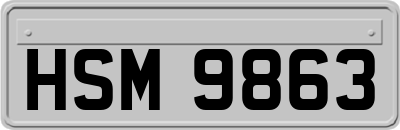HSM9863