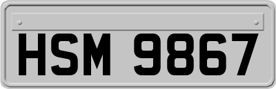 HSM9867