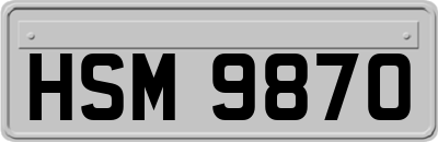 HSM9870
