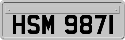 HSM9871