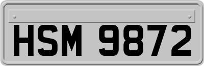 HSM9872