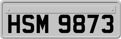 HSM9873