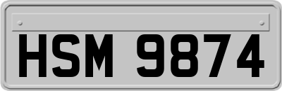 HSM9874