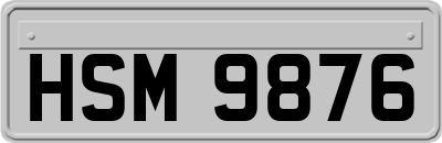 HSM9876