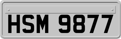 HSM9877