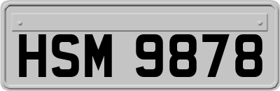 HSM9878