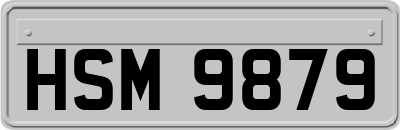 HSM9879