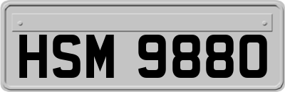 HSM9880