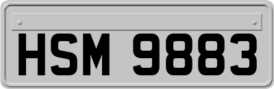 HSM9883