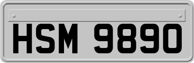 HSM9890
