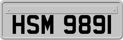 HSM9891