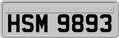 HSM9893