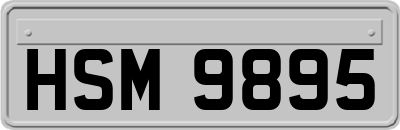 HSM9895
