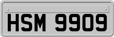 HSM9909