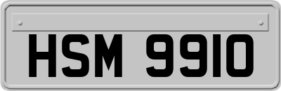 HSM9910