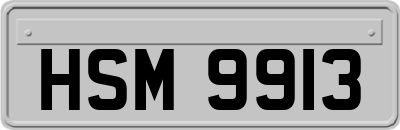 HSM9913