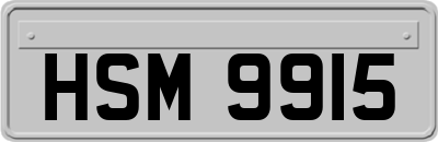 HSM9915