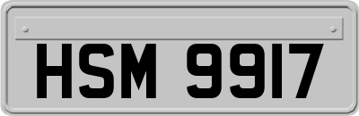HSM9917