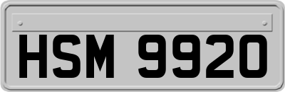 HSM9920