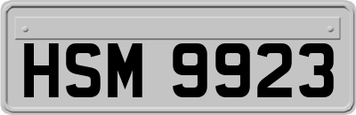 HSM9923