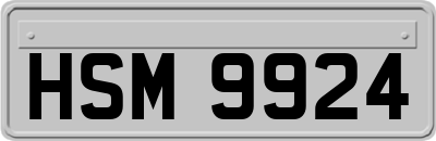 HSM9924