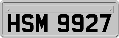 HSM9927