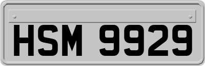HSM9929