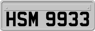 HSM9933