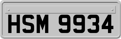HSM9934