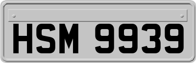 HSM9939