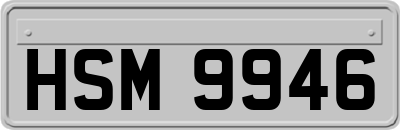 HSM9946