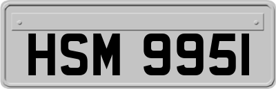 HSM9951