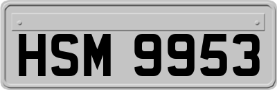 HSM9953