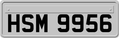 HSM9956