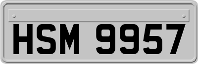 HSM9957