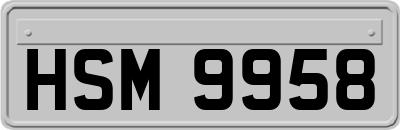HSM9958