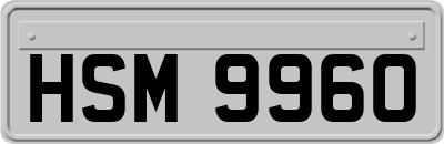 HSM9960