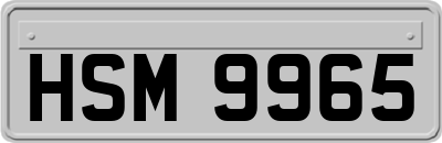 HSM9965