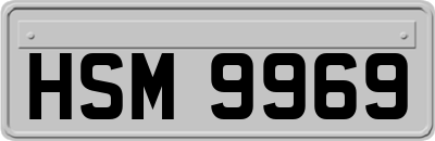 HSM9969