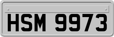 HSM9973
