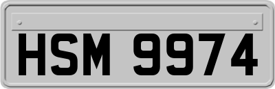 HSM9974