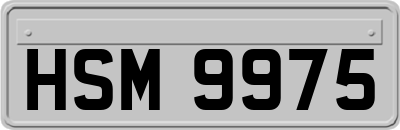 HSM9975