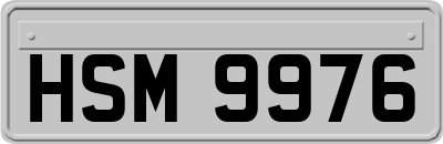 HSM9976