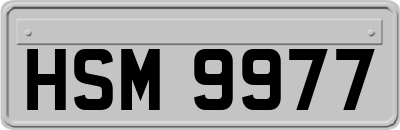 HSM9977